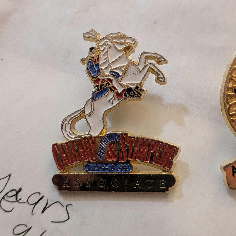 Source Unknown Colorful Rodeo Brooch